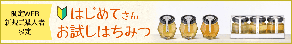 初めてさんお試しはちみつ