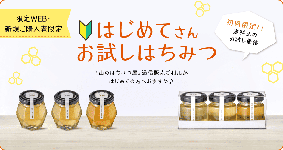 初めてさんお試しはちみつ